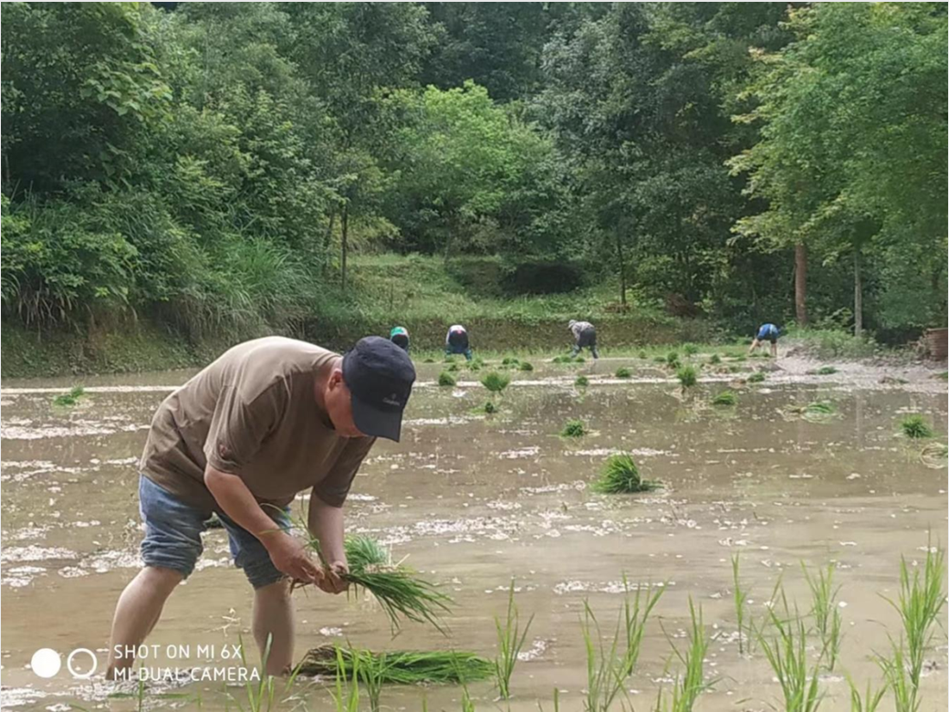 1688356023751030.jpg 1688356023751030.jpg